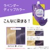 Tottimo! Dip Color, Lavender Color Treatment, 17.6 oz (500 g),