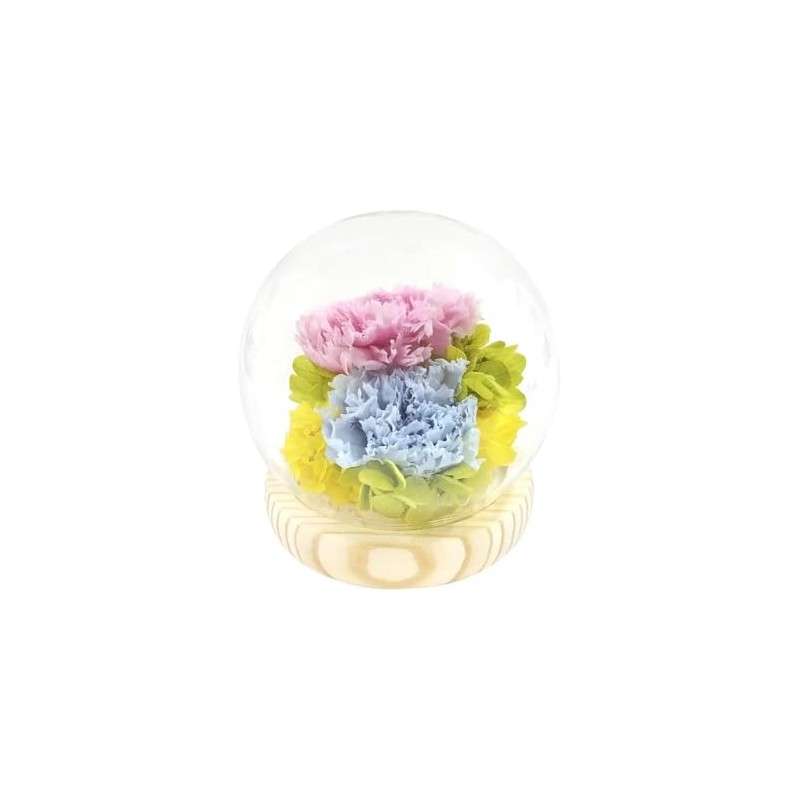 Sphere Glass Dome Arrangement Glass Dome Yu/Pink Blue