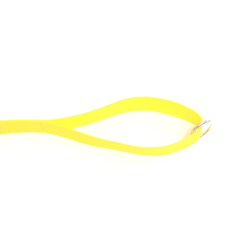 100ft 30m Long Dog Training Lead Obedience Recall Horse Tracking