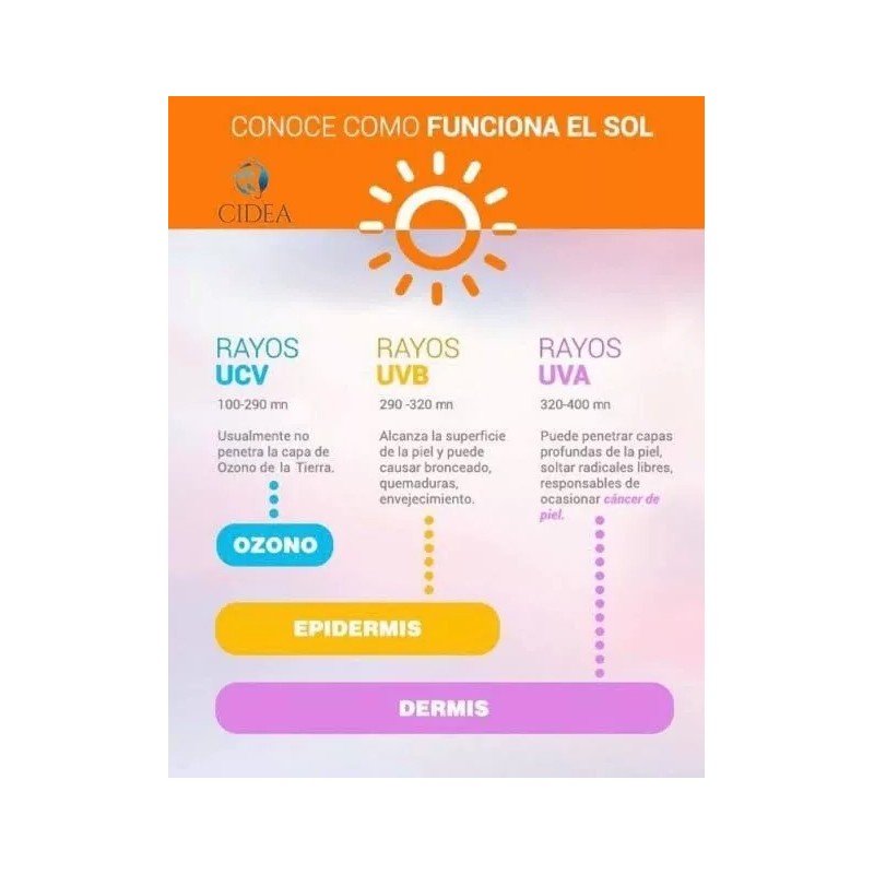 Sheló Nabel Bloqueador Solar, Protector Solar Facial 50+ Coco Sheló
