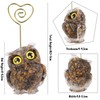 TUMBEELLUWA Owl Statue Table Number Holders for Centerpiece, Crystal Animal