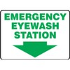 Accuform "Emergency Eyewash Station" Safety Sign, Accu-Shield™, 10 x 14