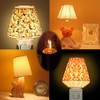 C7 LED Bulb, 0.5W Light Candle Bulbs, Amber Glow 5w