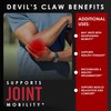 AMALTH Devils Claw Extract 500 mg, 120 Veggie Capsules, Concentrated