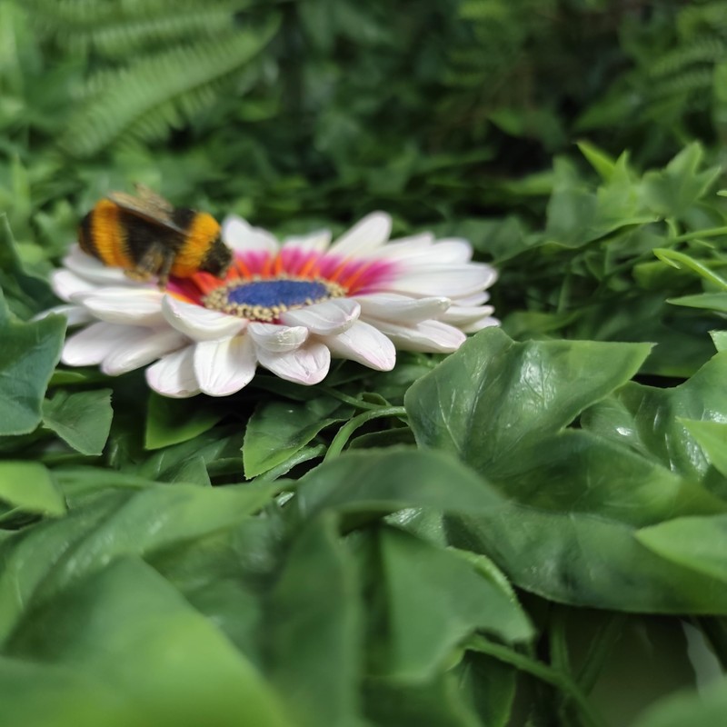Vivid Arts - Hanging Zulu Daisy/Bee - HGF-026