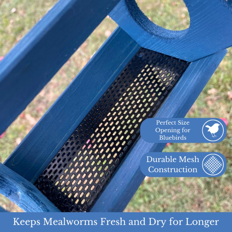 Backyard Essentials Petite Bluebird Feeder with Plexiglass Roof and Powder