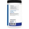 Nutricost Creatine Monohydrate Powder (Blue Raspberry), 500 Grams (1.1 LBS)