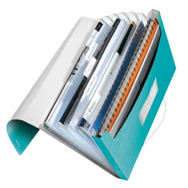 Leitz A4 Project Folder for up to 200 Sheets, 6 Compartments with Tabs for Organising the Contents, Elastic Closure