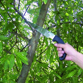 KAKURI Japanese Pruning Saw for Branch Cutting 8-1/4" Razor Sharp Japanese Steel Blade, Japanese Garden Saw with Plastic Sheath, Made in JAPAN