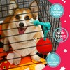 Fossa Interactive Dog Toys, Crate Training Aids for Puppies, Puzzle