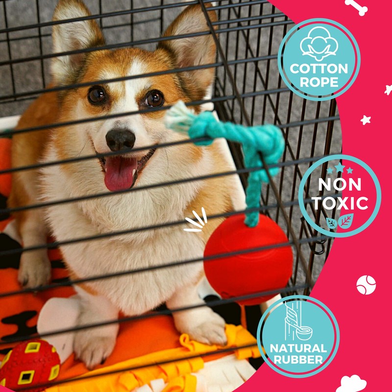 Fossa Interactive Dog Toys, Crate Training Aids for Puppies, Puzzle