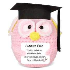 Aruigu Lucky Charm Knitted Owl Positive Gifts, Pocket Hug Owl Positive Potato Replacement, Courage Gift, Get Well Soon Gift, Lucky Charm Exam Gift (Pink)
