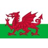 Shaws Direct Welsh Dragon 100% Polyester Beach Towel | Cymru/Wales