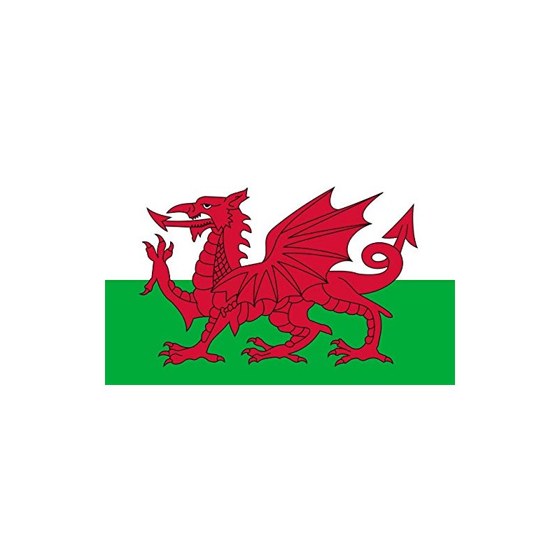 Shaws Direct Welsh Dragon 100% Polyester Beach Towel | Cymru/Wales