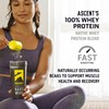 Ascent Ascent 100% Whey, Native Whey Protein Blend - Clean