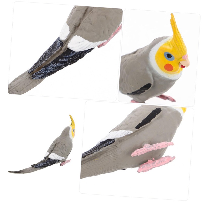Vaguelly Realistic Cockatiel Figure, Highly Detailed Plastic Parrot Model, Perfect
