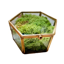 Wedding Ring Box, Ring Box, Jewellery Box, Wedding Ceremony, Registry Office, Ring Holder, Ring, Wedding Rings Gold, Jewellery, Engagement, Bride (with Moss Small)