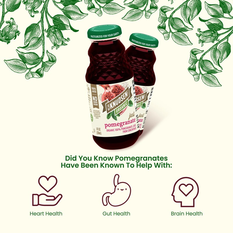R.W. Knudsen Organic Pomegranate Juice, 8 fl oz (12 Pack)
