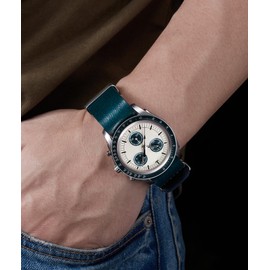 BINLUN Leather Watch Straps Crazy Horse Oiled Leather Watch Bands 18mm 19mm 20mm 21mm 22mm 24mm Replacement One-Piece Watchbands for Men and Women Silver & Black Buckle