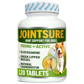 JOINTSURE YOUNG & ACTIVE Joint Supplements for Dogs and Puppies - Pack of 120 Tablets - Supports Mobility and Prevents Joint Stiffness - High Levels of Glucosamine & Green Lipped Mussel