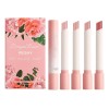 Set De Pintalabios Mate, Bonito Brillo De Labios Antiadheren B