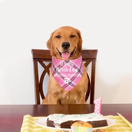STMK Dog Birthday Bandana, It' s My Birthday Mother Puppers Multi Sizes Dog Birthday Girl Bandana for Small Medium Large Dogs Cats Pets (Pink, Large)