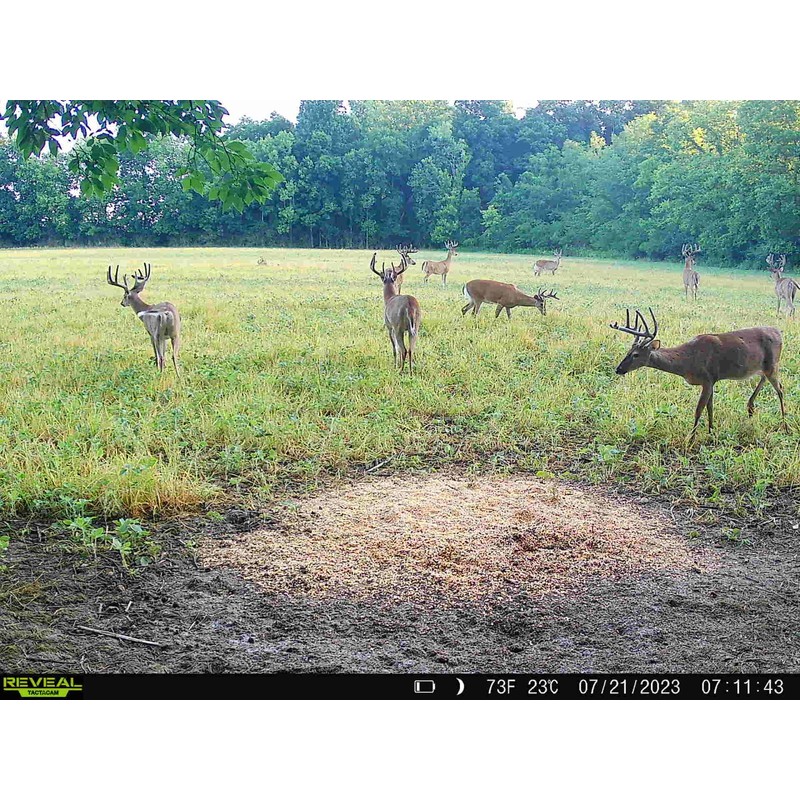 Power Munch | Deer Feed Supplement With Probiotics for Maximum