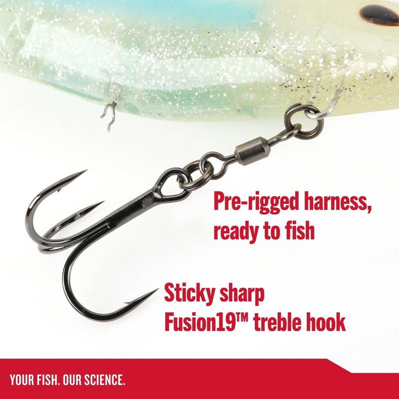 CullShad 6in Box-HB Blue Shad