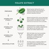 Folate from Spinach | Natural Alternative to Folic Acid |