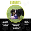 Hero - Chuckles Ball Plush Dog Toy - Dog Squeaky
