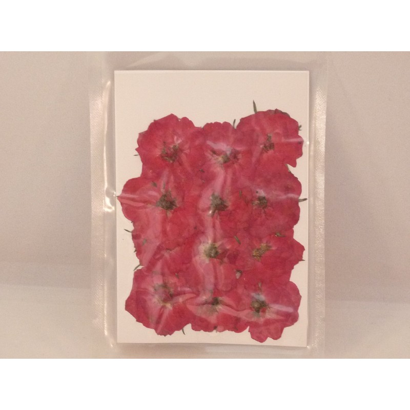 hukusan Flower Pack Mini Rose Red Fuk – 1026