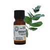 Amphora Aromatics Cosmos Organic Eucalyptus Essential Oil 10ml