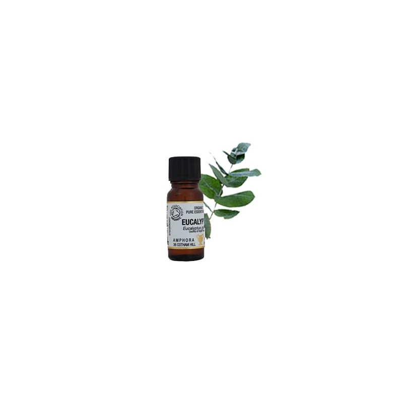 Amphora Aromatics Cosmos Organic Eucalyptus Essential Oil 10ml
