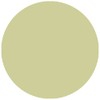 alessandro Hybrid Varnish Rococo Garden Wild Ivy - In Just