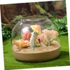 BUGUUYO Glass Terrarium Jar with Moss Terrarium Landscape Container for
