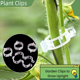 200Pcs Plant Support Clips, Tomato Plastic Trellis Plant Support Clips for Support, Garden Clips, Grape Vine, Vegetables Fixing Clips, Plant Clips for Tomato Trellis & Peony Cages