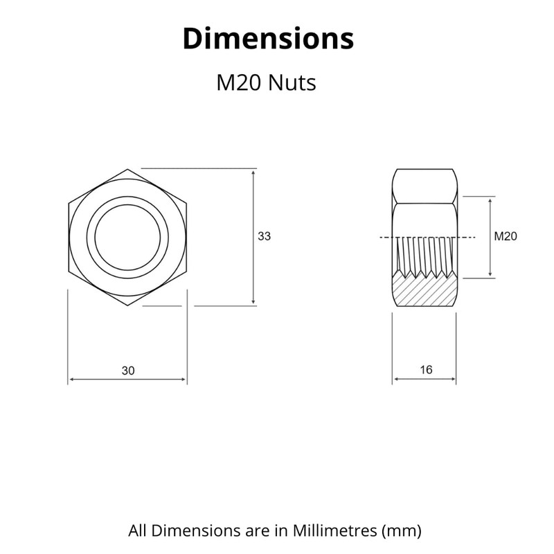 M20 (20mm) Steel Hex Nuts - Standard Thread - Pack
