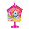 Little Live Pets Bird and Bird House - Rainbow Tweets,