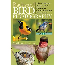 Backyard Bird Photography: How to Attract Birds to Your Home and Create Beautiful Photographs