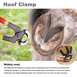 Docdciy 8 Inch Farrier Hoof Trimmer, Sharpener Kit for Goats, Pigs, and Hooved Animals, Professional Hoof Clippers, Rasp, and Trimming Tools for Goat Hooves, Complete Goat Hoof Care Kit