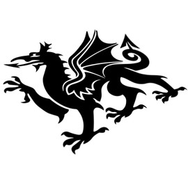 Cymru Welsh Wales Dragon Car Sticker Decal, Bumper Vinyl Decal Sticker, Window Sticker, Van Camper Lorry Vinyl Decal Sticker, Motorhome Caravan Sticker (160mm x 125mm (LxH))