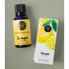 Woolzies Essential Oils Gift Set: Lavender, Lemon and Sweet Orange