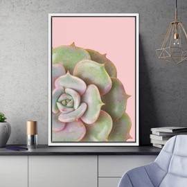 SIGNWIN Framed Canvas Print Wall Art Graptoveria Succulent on Pink Background Floral Plants Photography Minimalism Southwest Relax/Calm for Living Room, Bedroom, Office - 16"x24" White