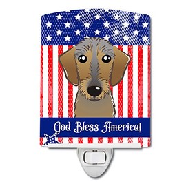 Caroline's Treasures BB2164CNL American Flag and Chocolate Labrador Ceramic Night Light Compact, UL-Certified, Ideal for Bedroom, Bathroom, Nursery, Hallway, Kitchen, 6x4x3, Multicolor