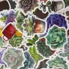 Undisclosed 100pc 1.5" Succulent Plant Cactus Stickers for Notebooks Water