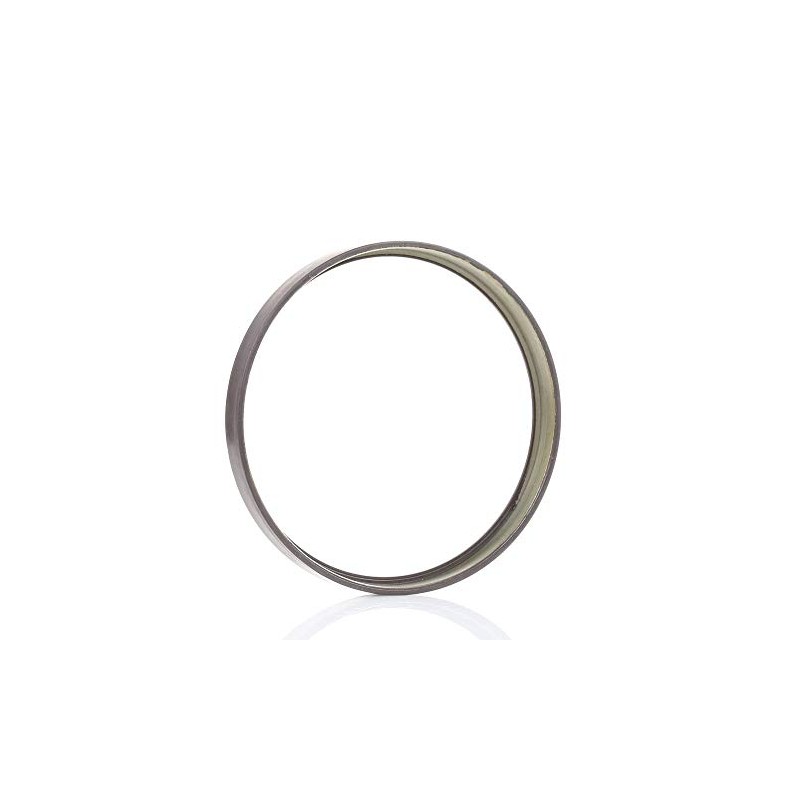 RIDEX 2254S0006 ABS Ring Rear Both Sides Rear 10 mm