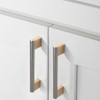 Coinkoly 10 Pack 5"(128mm) Gold and Brushed Satin Nickel Cabinet