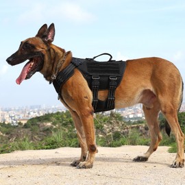 ICEFANG Tactical Mesh Dog Harness for Large Dogs,Reflective Dog Molle Vest with Metal Buckles,Hook and Loop Panels,No Pulling Front Clip for Walking Hiking Training (Large (Pack of 1), Black)