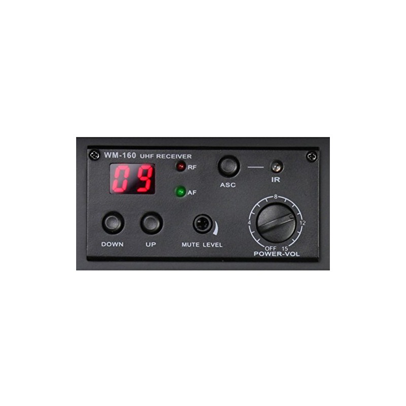 LD Systems Rm102 R UHF Receiver Module for Roadman and