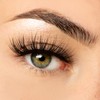 NICLAY Eyelash Lines 3D Lashes (Dramatic)